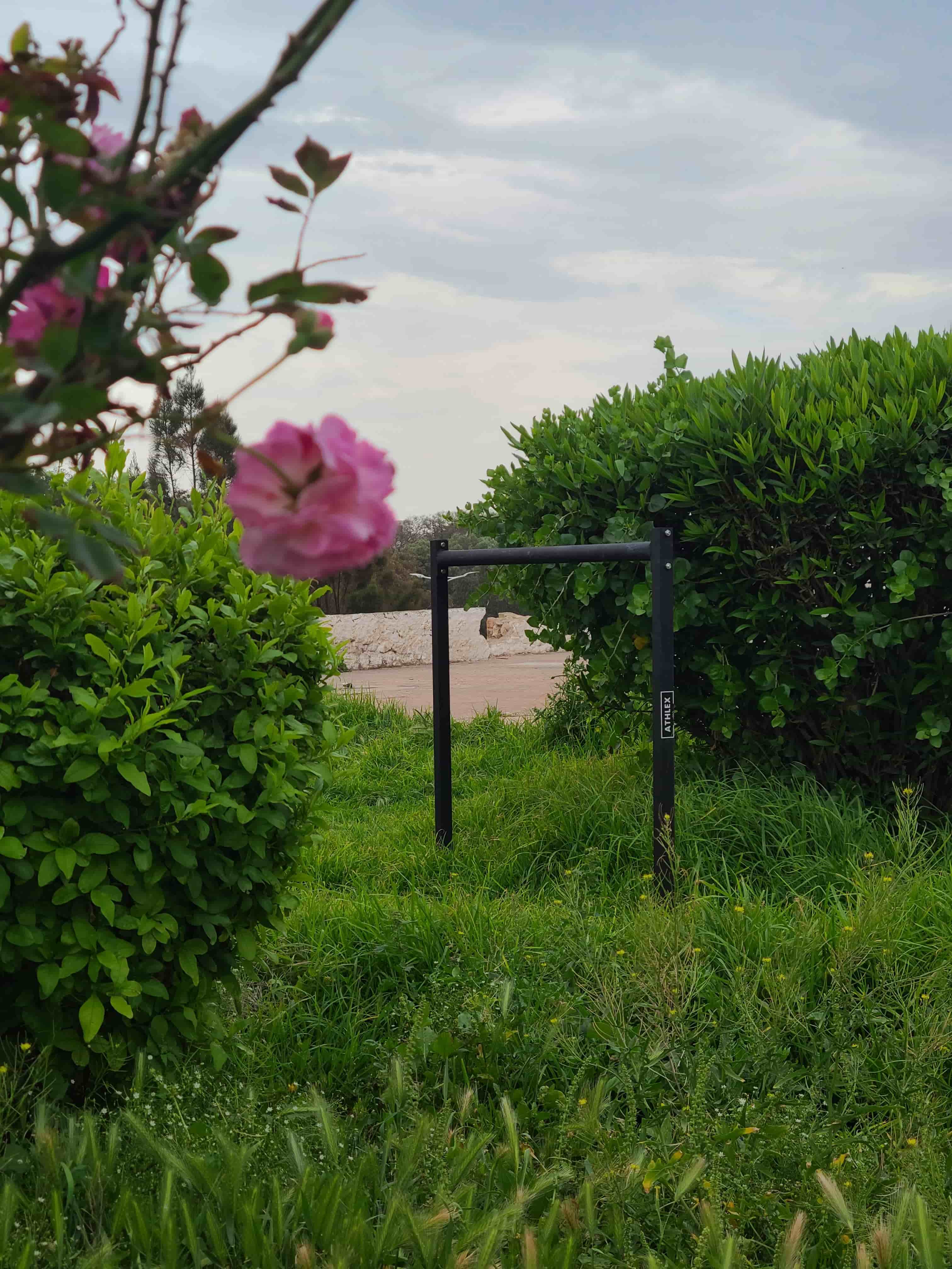 Parallele Dips 1